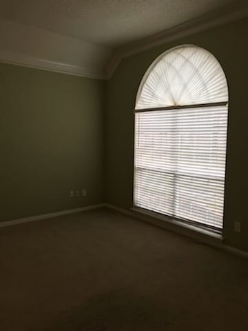 Photo - 3217 Pecan Meadow Dr