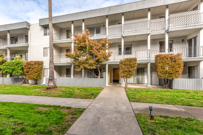 Rear bldg. view and courtyard - The Palms at Coddingtown