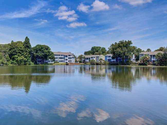 Photo - The Ava Apartments