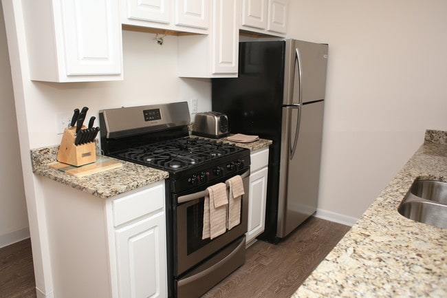 Photo - University Forum