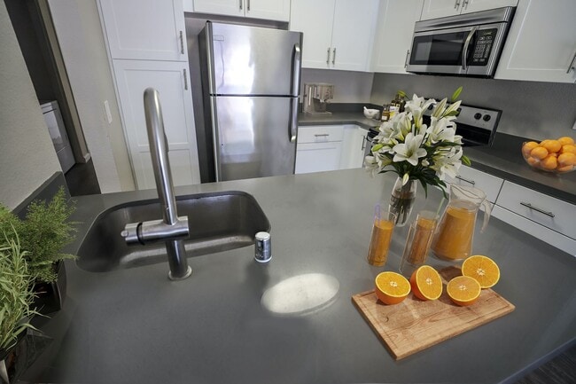 Photo - Sommerset La Costa