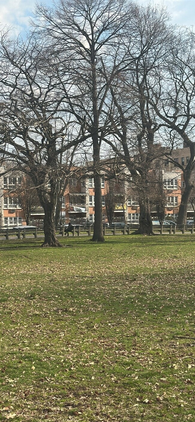 Photo - 315 Mt Eden Pkwy