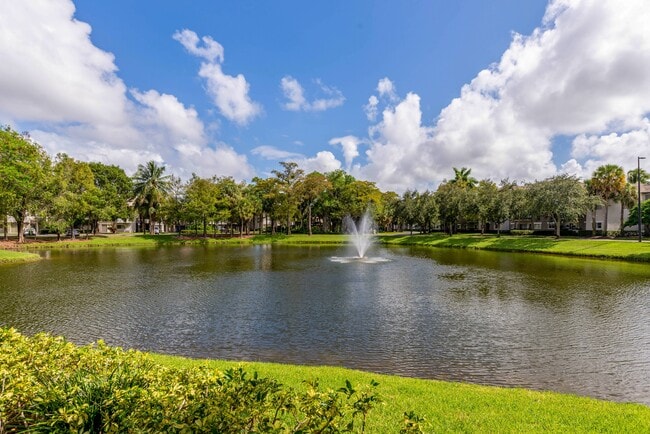 Palm Haven at Deer Creek