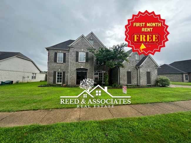 Building Photo - 4 Bedrooms in Southaven!