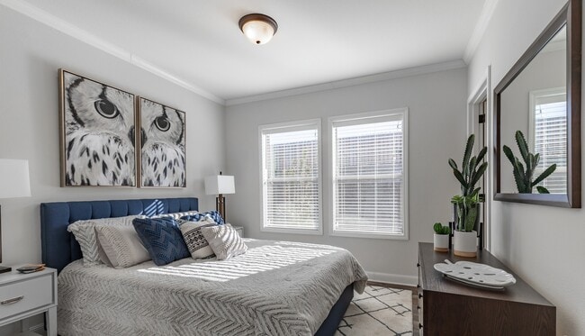 Spacious Bedroom with Large Windows - Virtuoso Apartments