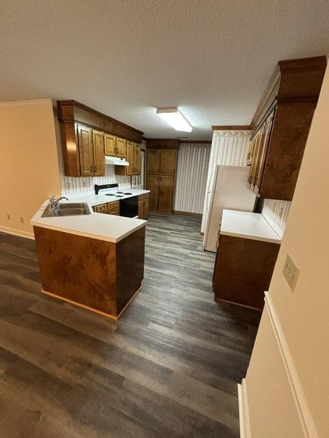 31 Radcliff Dr