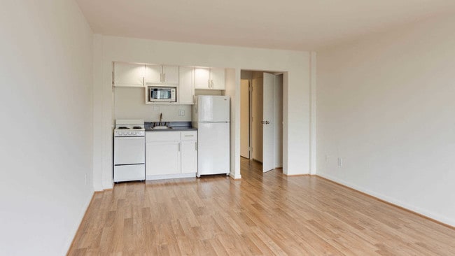 Studio Kitchen and Living Room