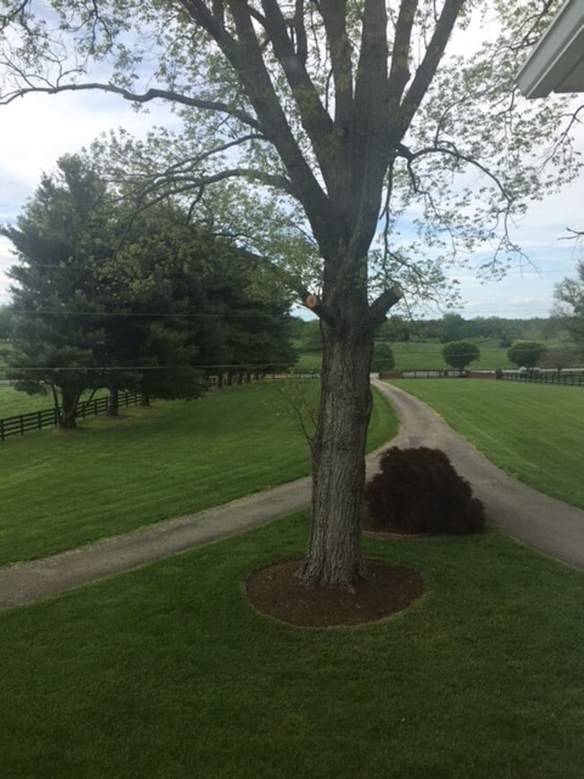 Photo - Kentucky mansion overlooking horse farm with stunning views    260308