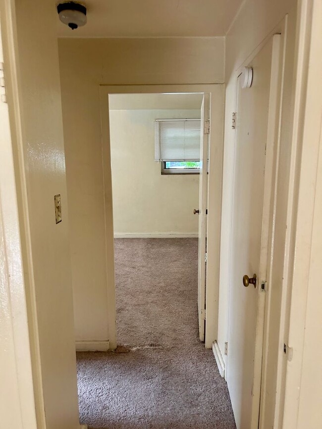 Photo - Bright large 1 bedroom in Shadyside Unit A41