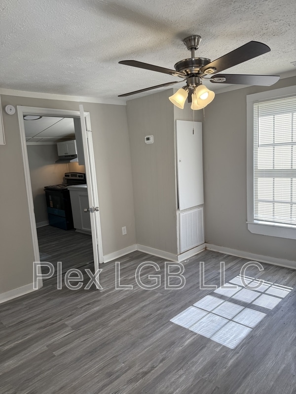 Photo - 307 Dix St