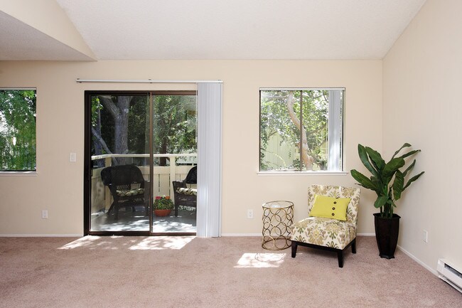 Photo - Central Park