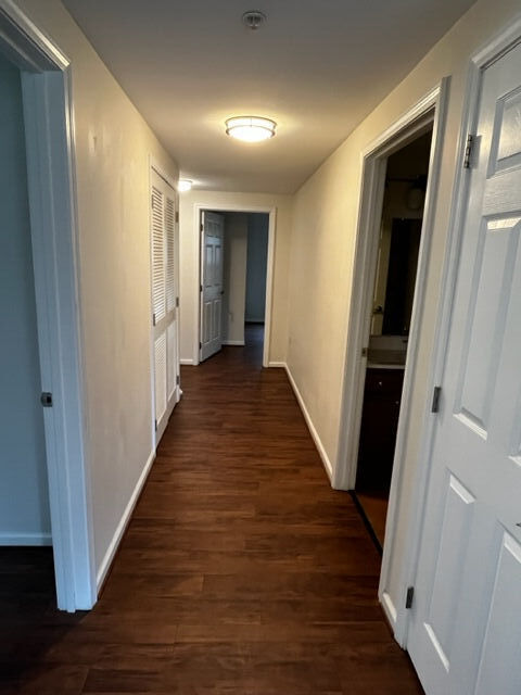 Photo - Sunny Buck Gardens