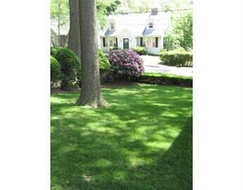 Photo - 133 High Haith Rd
