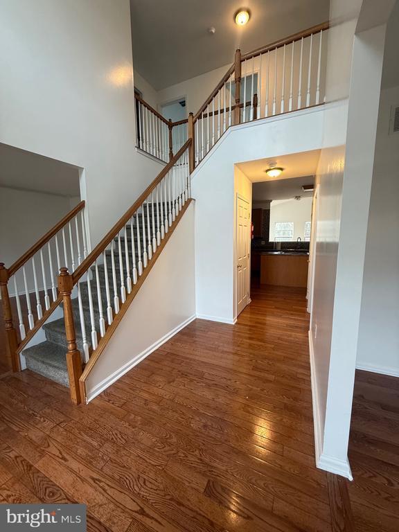 Photo - 5 English Ivy Dr