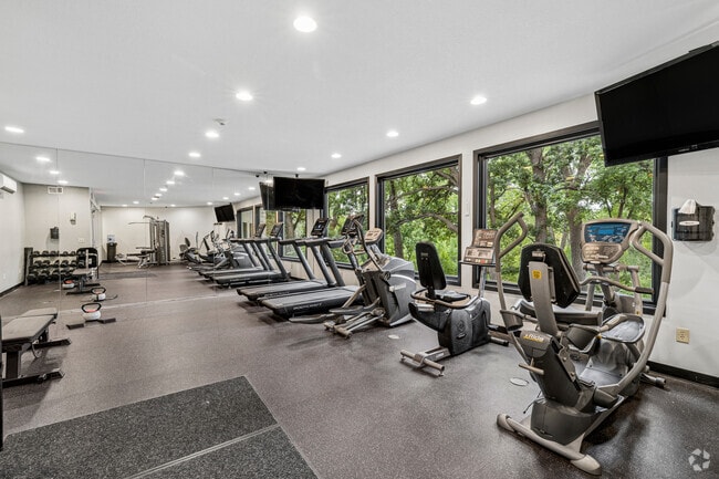 Gimnasio
