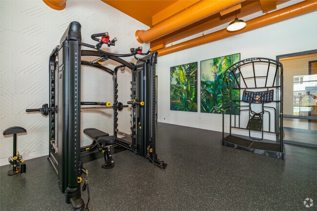 Gimnasio