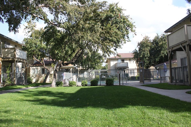 Vineyard Apartments