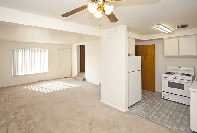 Photo - Elmsleigh Apartments