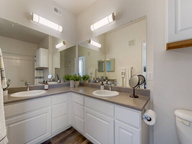 Large Counters in Main Bathroom at Trailside
