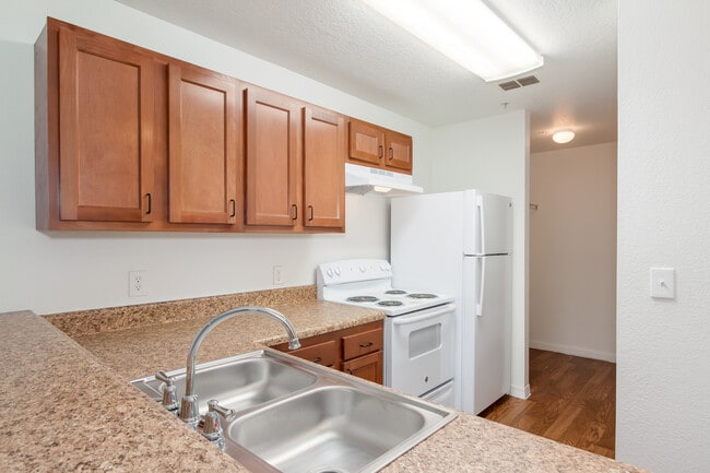 Photo - Tall Timbers