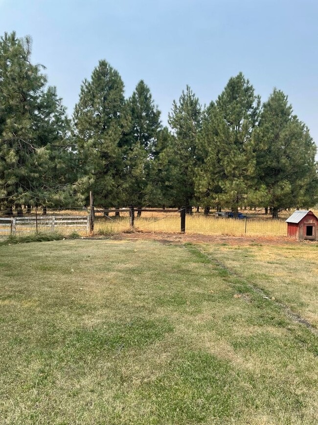 Photo - Rural Living & Pet Friendly!