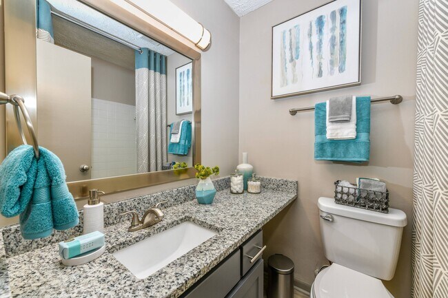 Bathroom + Granite Counters