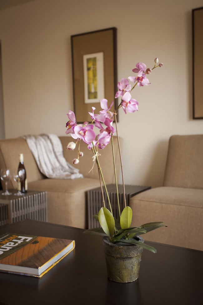 SDK Lodi Apartments