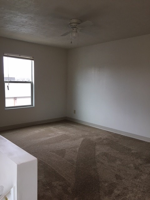 Photo - South Zane Apartments