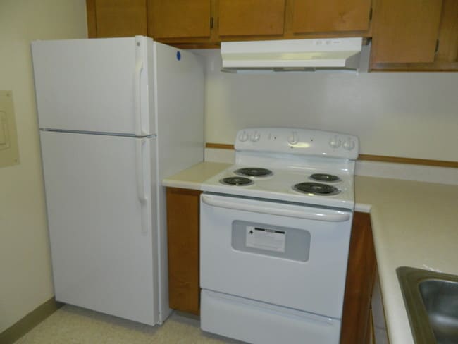 Photo - Mineral Spring Gardens