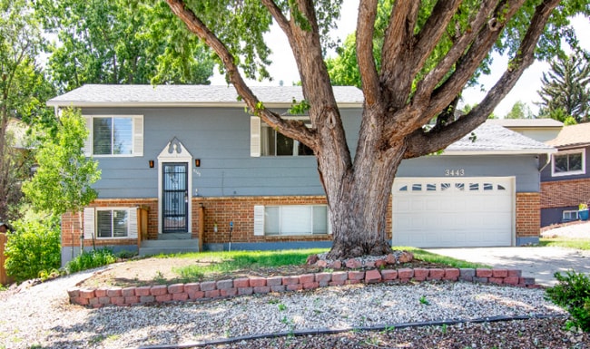 Building Photo - 3443 Amador Cir Rental