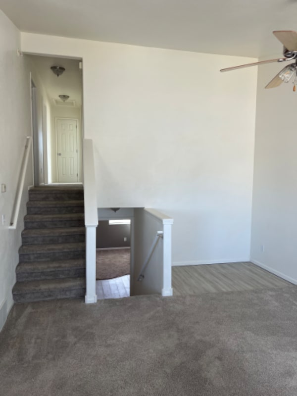 Photo - 4012 Grapevine Ln