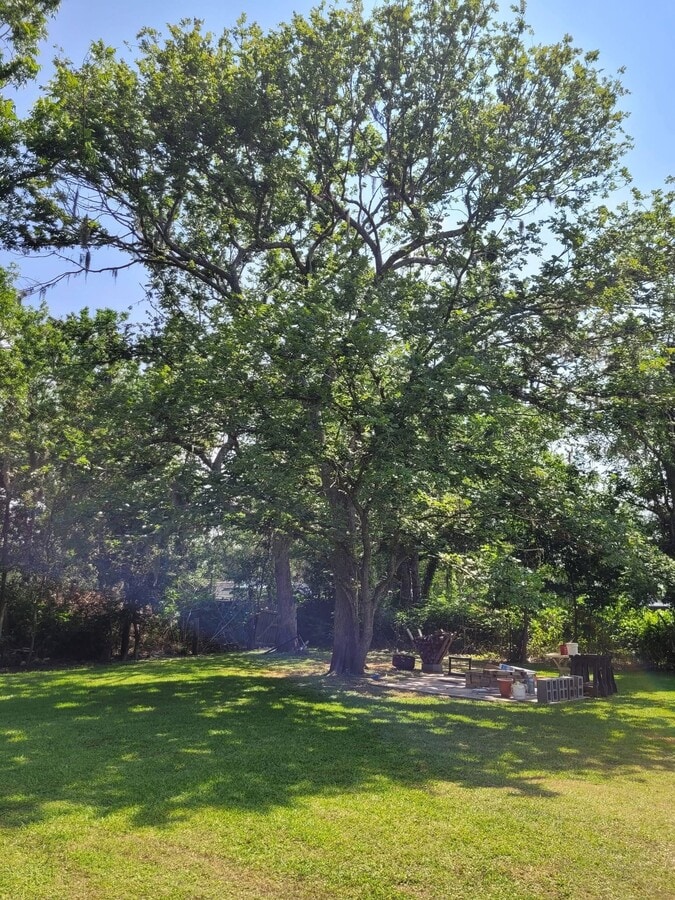Photo - 1714 County Rd 244E