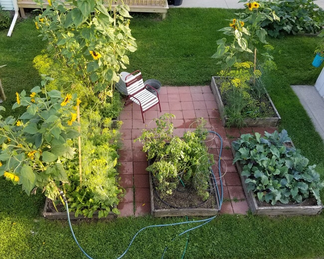 Photo - 826 N Evans St Unidad none