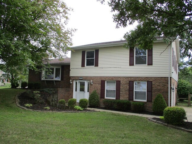 Building Photo - Renovated Quad In Forest Ridge Area w/4 Be... Rental
