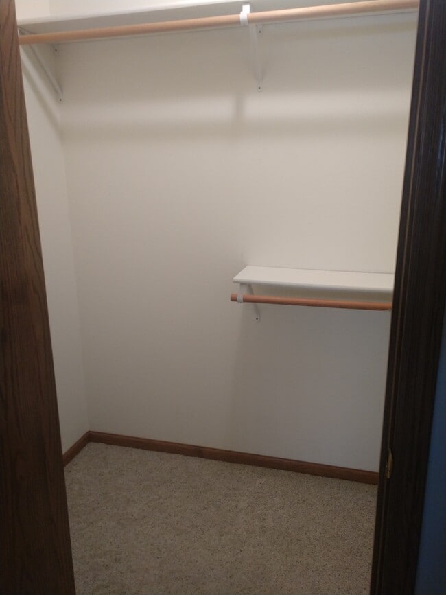 MASTER CLOSET - 401 E Drake St Unit 401