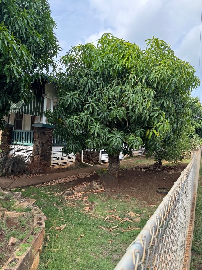 Photo - 1906 Beckley St