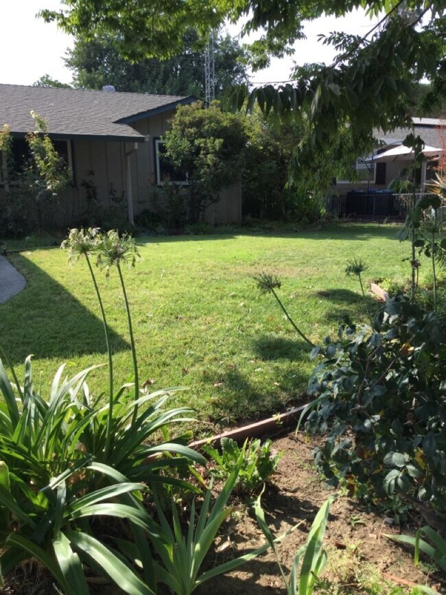 4 Bedroom single family in East Davis Rental House Rental in Davis