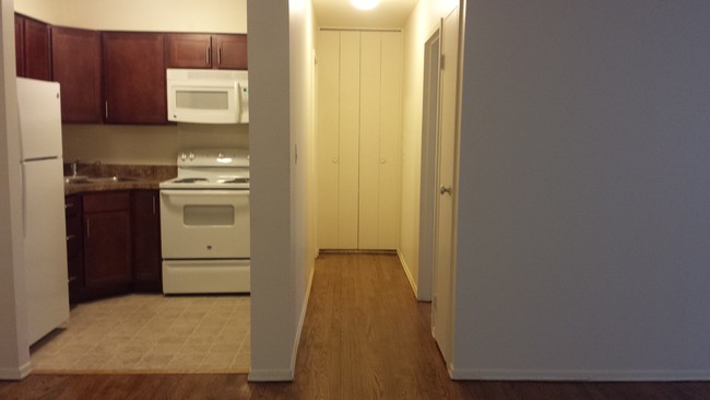 Large 1 Bedroom - River West Commons Apartments