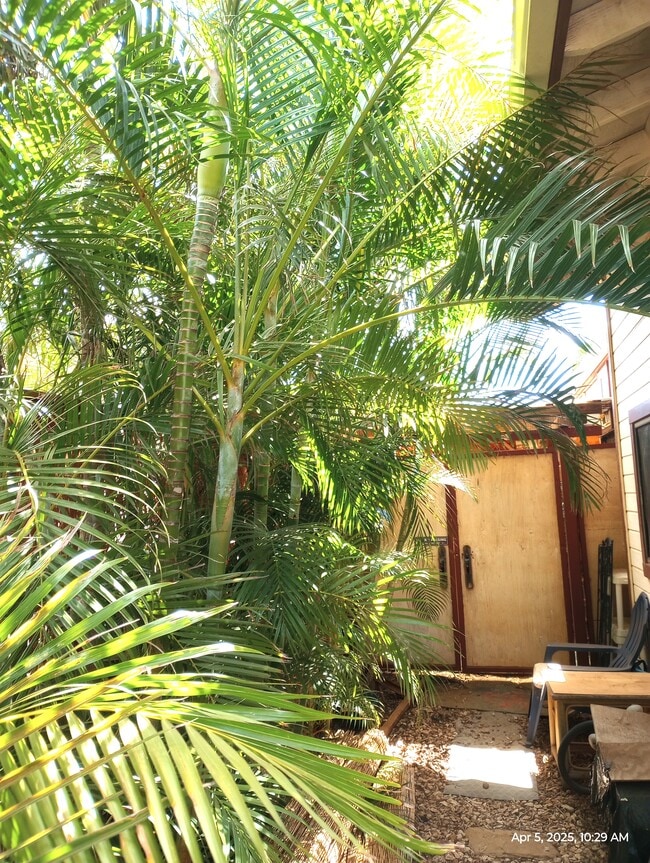 Photo - 281 Kaikea St