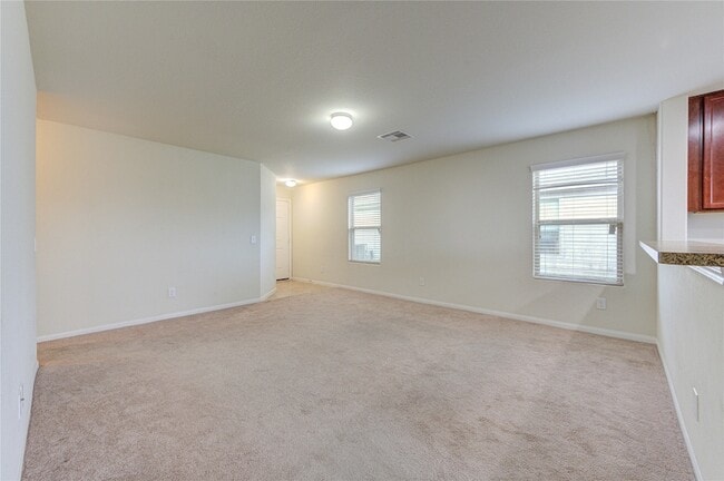 Photo - 1315 Pease River Ln