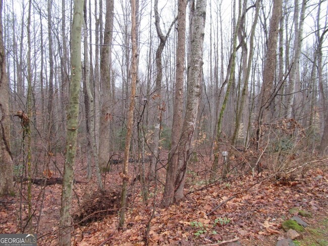 Photo - 95 Live Oak Rd