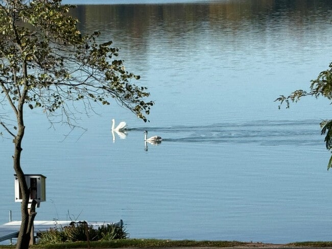 80 Ln 250A Lake Gage