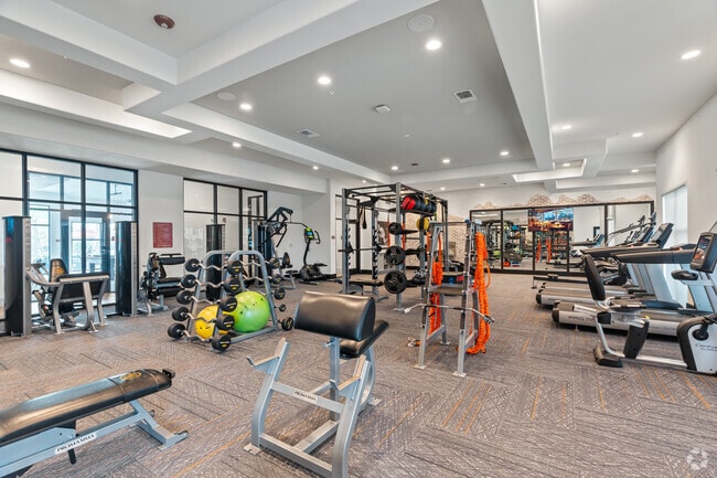 Gimnasio