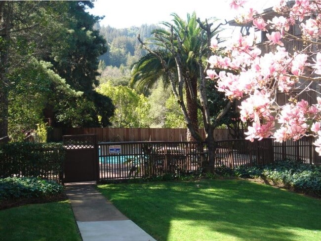 Photo - Pine Lane Apartments