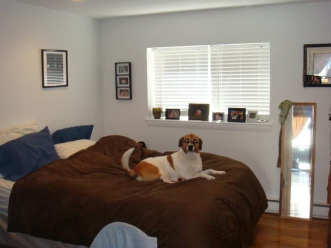 Building Photo - 56 Euston Rd Unit 9 Rental
