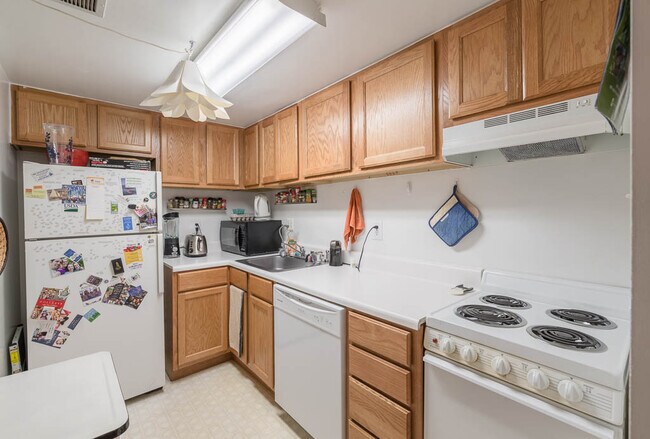 Photo - Dupont Circle condo featuring beautiful pa... Unit A