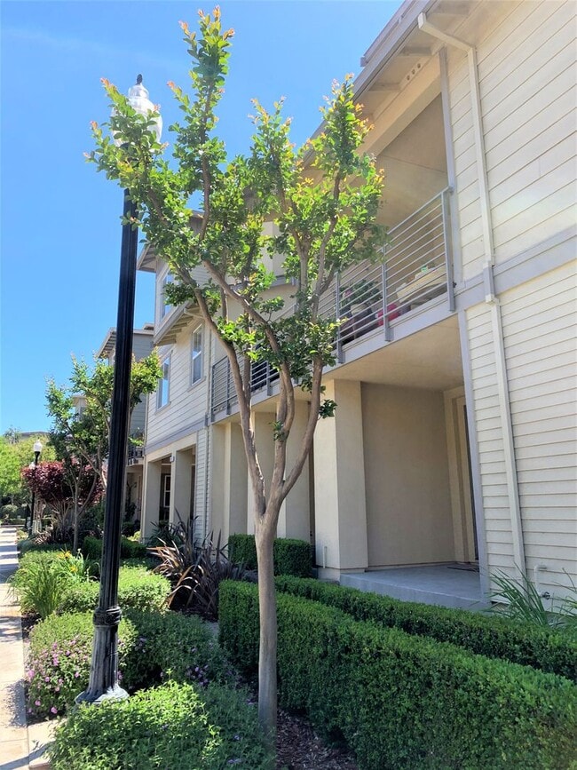 Building Photo - Beautiful 3 bedroom, 3 bath Condo in prime San Jose Location