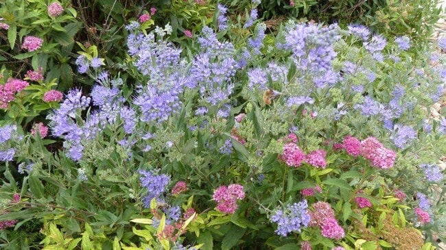 Photo - Lincoln Pointe Lofts