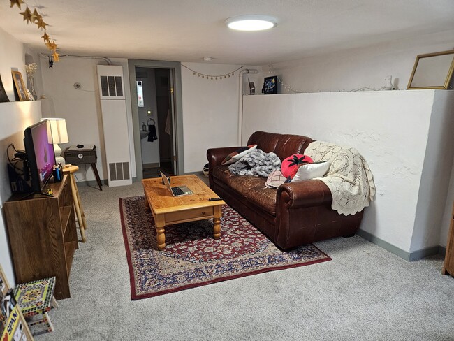 Living room, occupied - 338 E Pitkin St Unit B