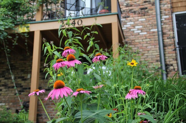 Photo - Harriet Apartments near the Wedge Coop